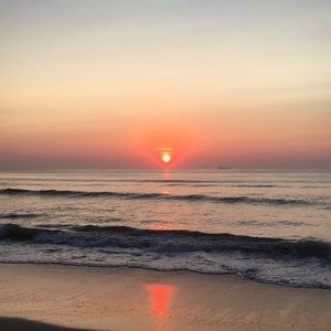 Meet your Posher, Sasha